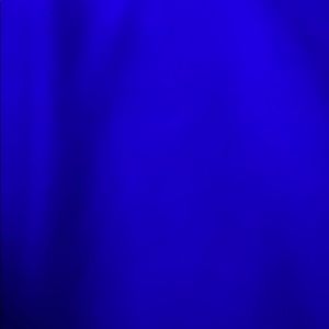 Meet your Posher, Cayden